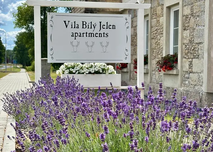 Bily Jelen 2 Lejlighed Kurivody